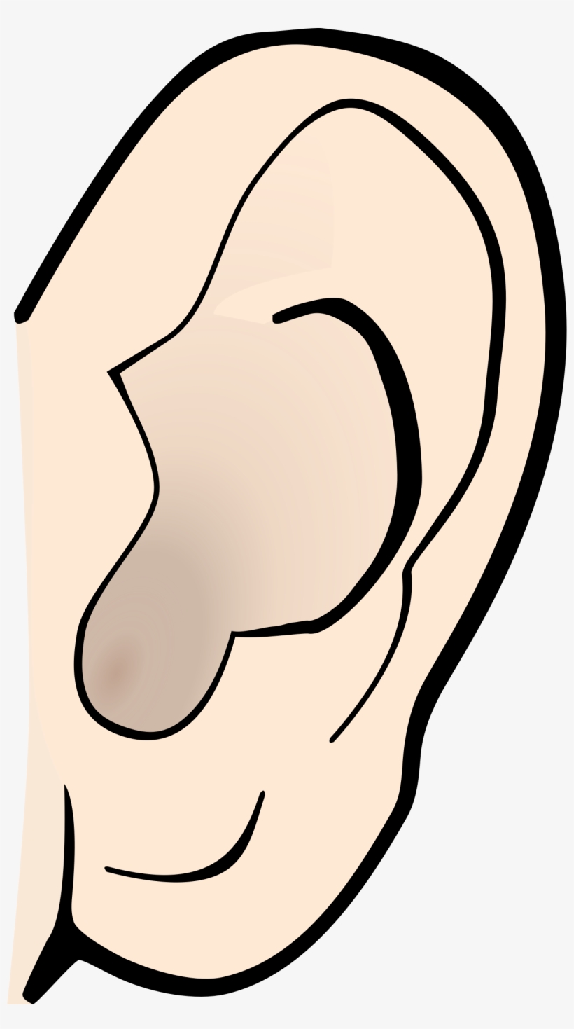 Ear Clip Pair - Ear Clipart, transparent png #769428