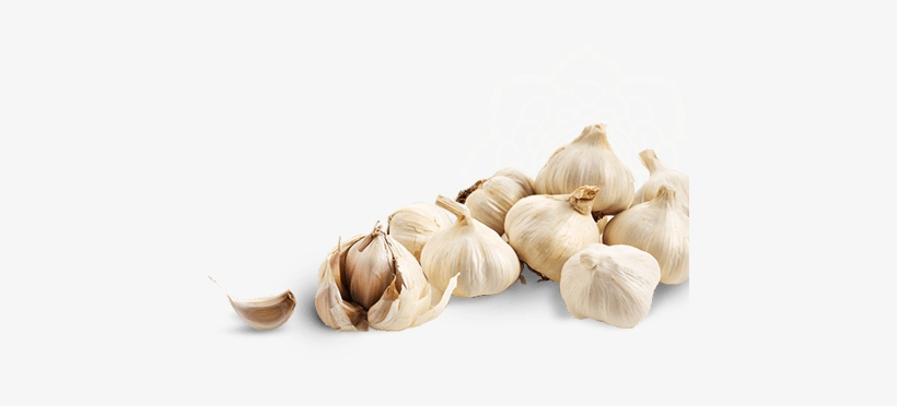 Garlic Png Clipart - Garlics Png, transparent png #769479