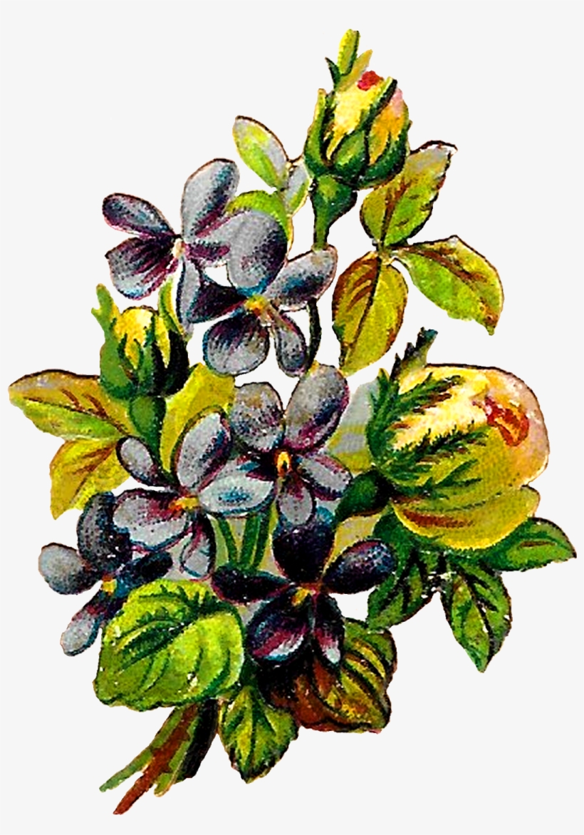 Digital Flower Clipart Download - Flower, transparent png #769498