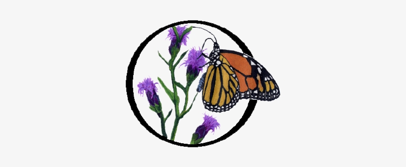 Growwildlogo - Flower, transparent png #769554
