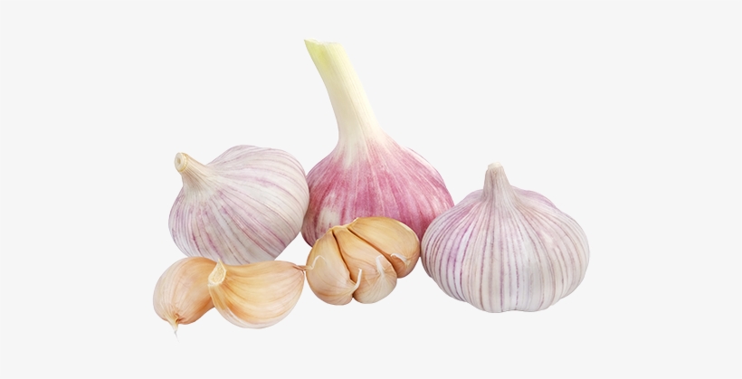 Garlic Png, transparent png #769578