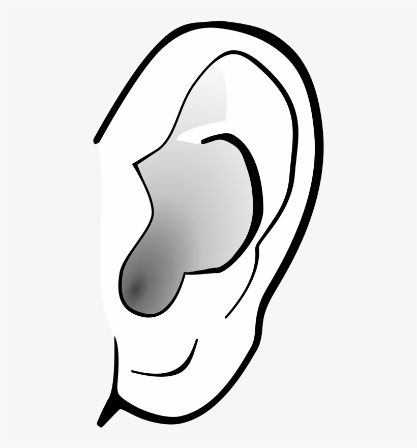 Ear Clip Art Free - Ear Clipart Transparent Background, transparent png #769603
