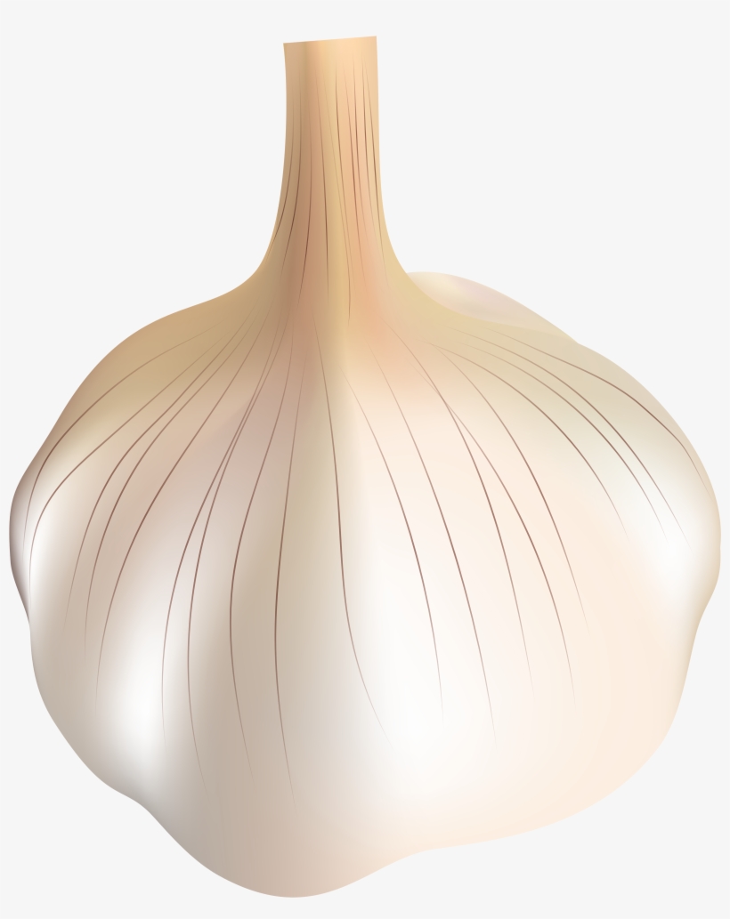 View Full Size, transparent png #769884