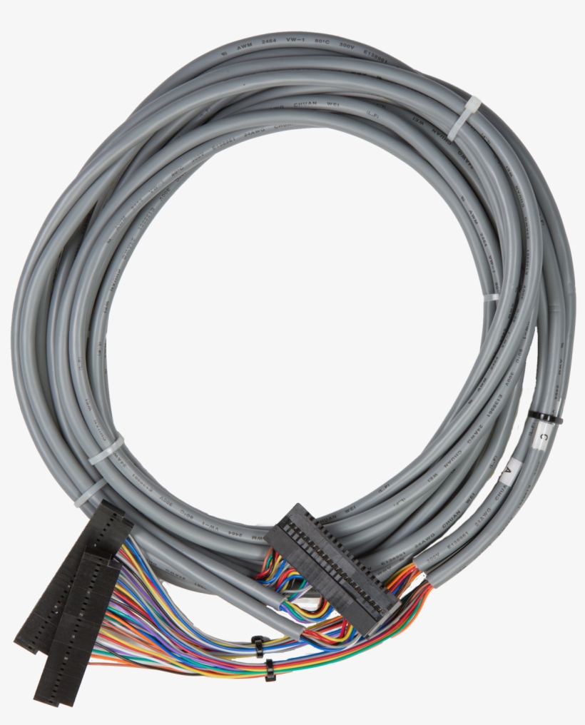 Previous - Ethernet Cable, transparent png #7600433