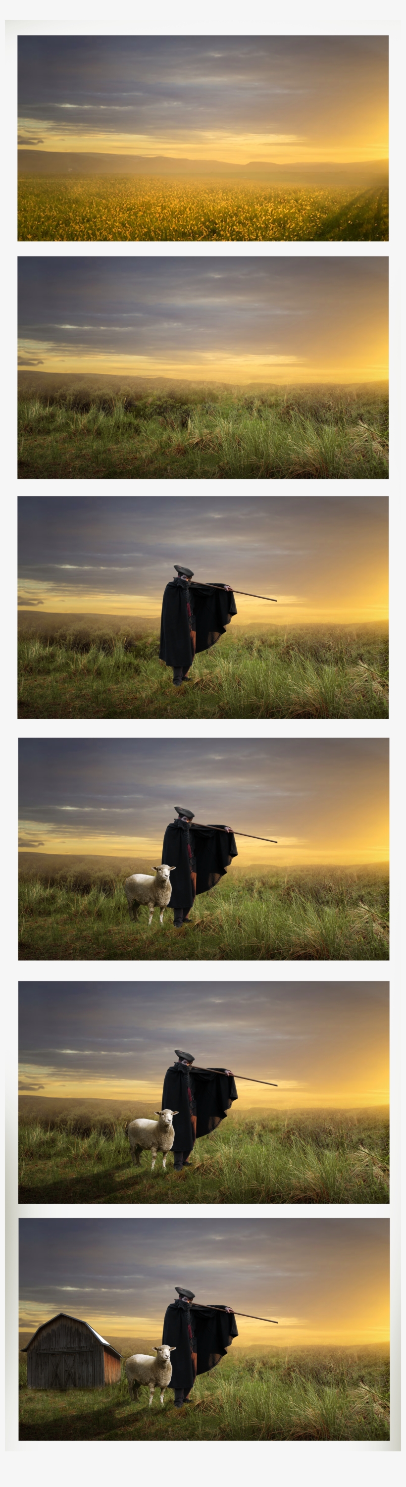Shepherd, transparent png #7601887