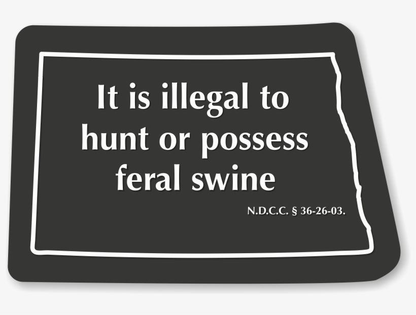Illegal To Possess Feral Swine North Dakota Novelty - Disco Ball, transparent png #7602445