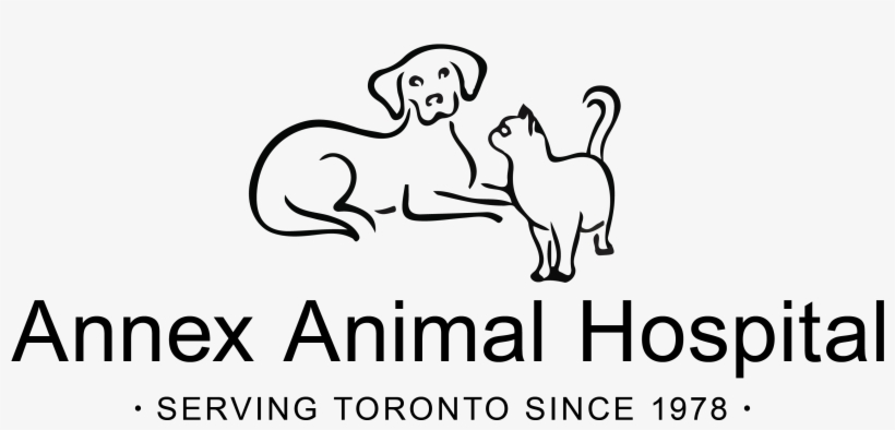 Veterinary Technician - Hospital Aleman, transparent png #7603987