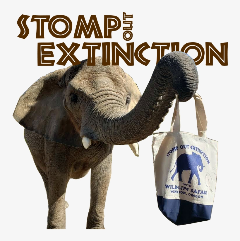 Help Us Stomp Out Extinction - Indian Elephant, transparent png #7604621