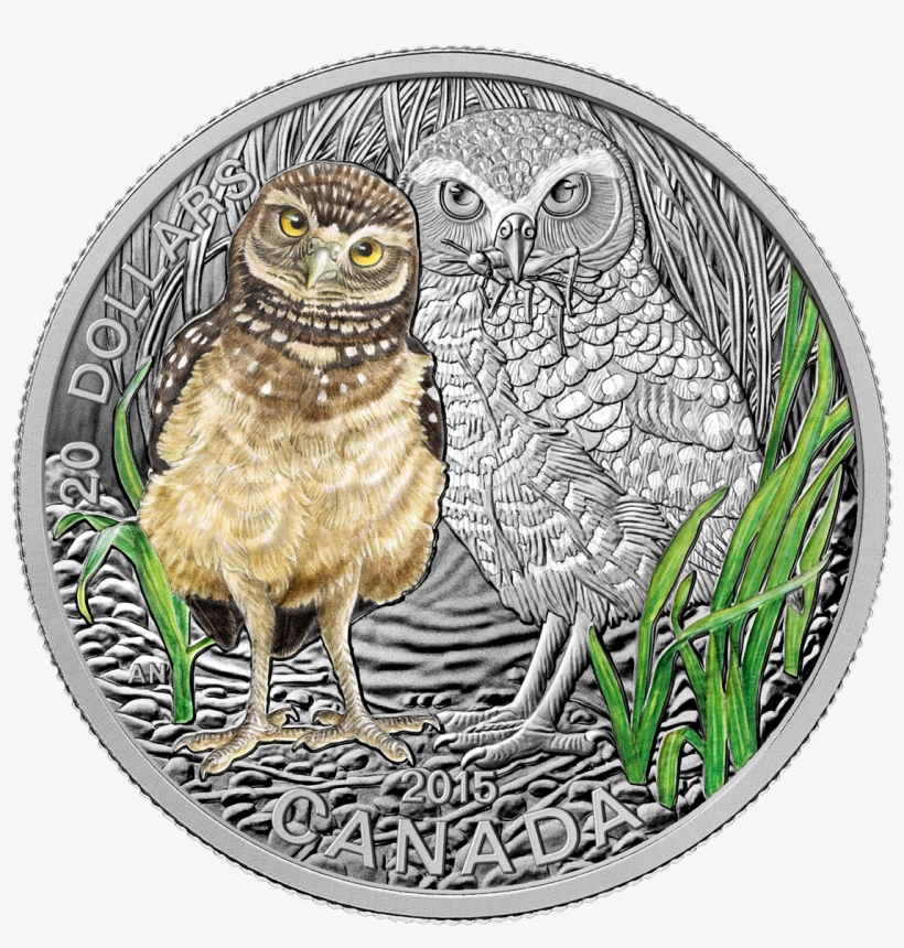 Canada 2015 Baby Animals Burrowing Owl Proof Silver - Animals Coins, transparent png #7604754