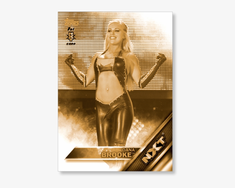 Gallery - Wwe Nxt, transparent png #7604845