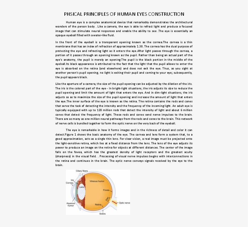 Docx - Document, transparent png #7605062