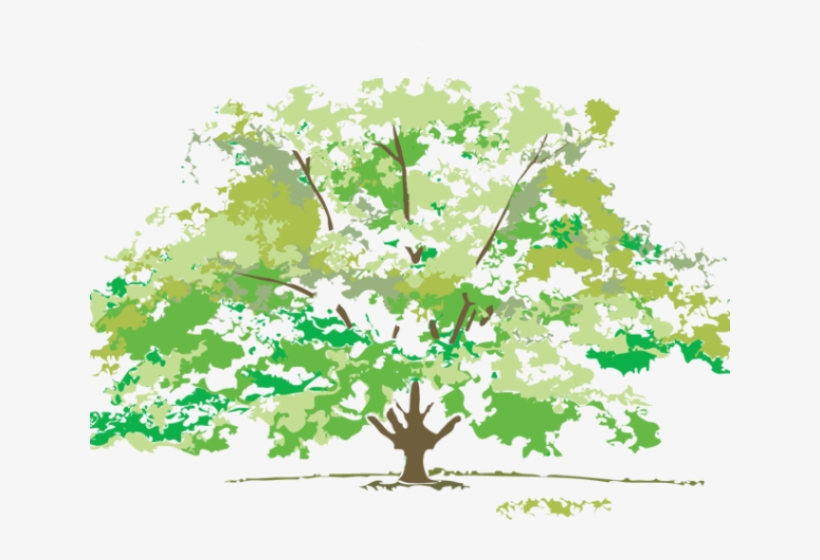 Clip Art Four Four Seasons Images Free, transparent png #7605229