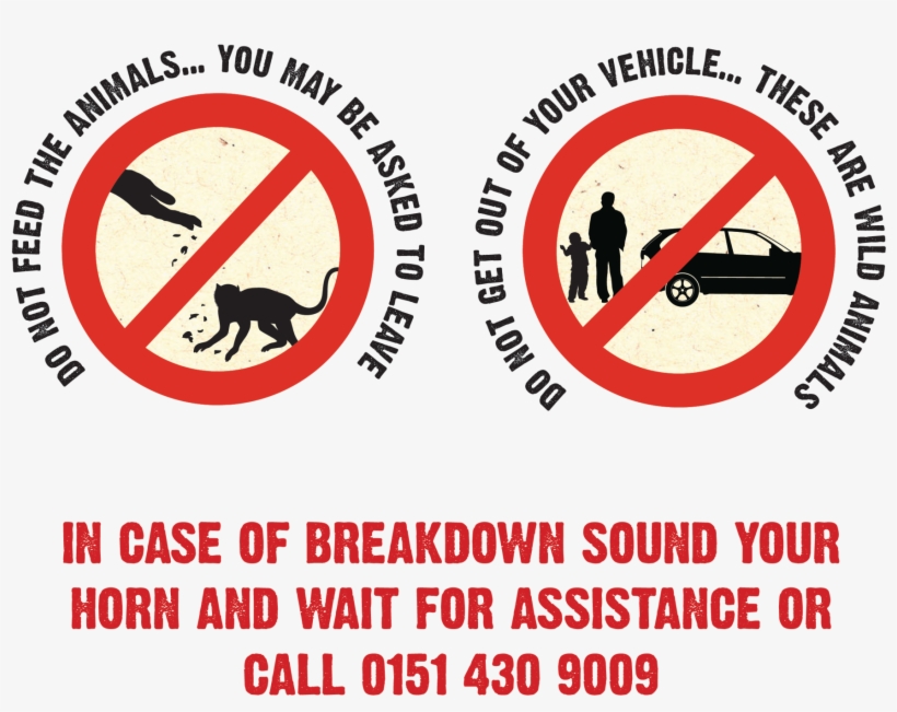 Rules Graphic Transparent - Circle, transparent png #7605274