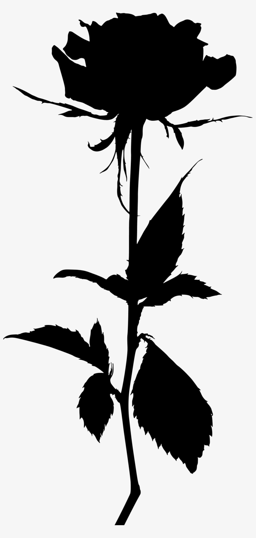 Flower Silhouette - White Roses In Png, transparent png #7605480