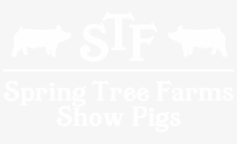 Pig, transparent png #7605812
