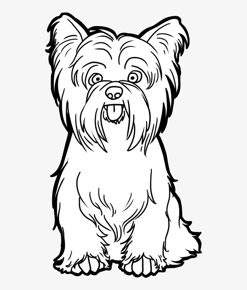 Dog Png Clipart - Yorkshire Terrier Drawing Easy, transparent png #7606877