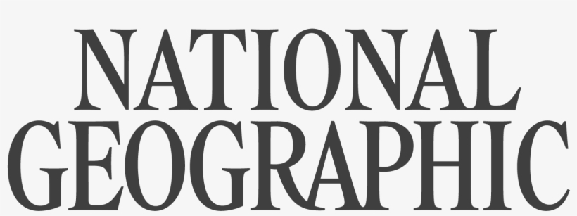 Human Action, transparent png #7606878