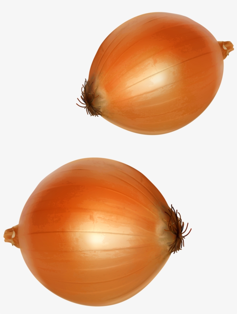 1075 X 1280 5 - Yellow Onion, transparent png #7606921