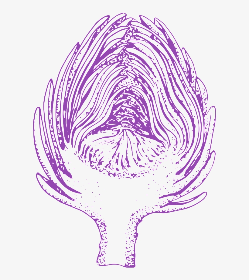 Hand Painted Purple Vegetables Transparent Vegetables - Drawing, transparent png #7607101