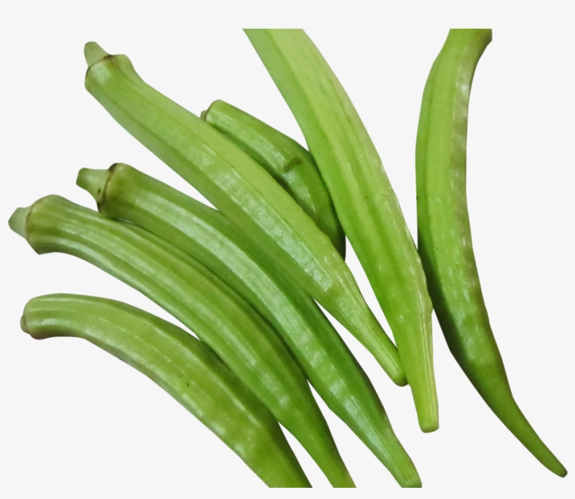 Fresh Okra Png Image - Okra Png, transparent png #7608904