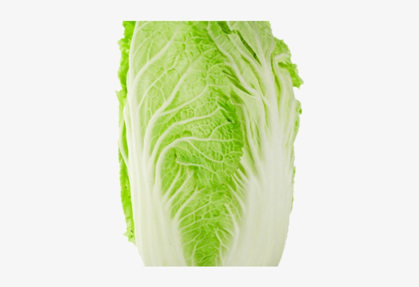 Chinese Cabbage, transparent png #7610174