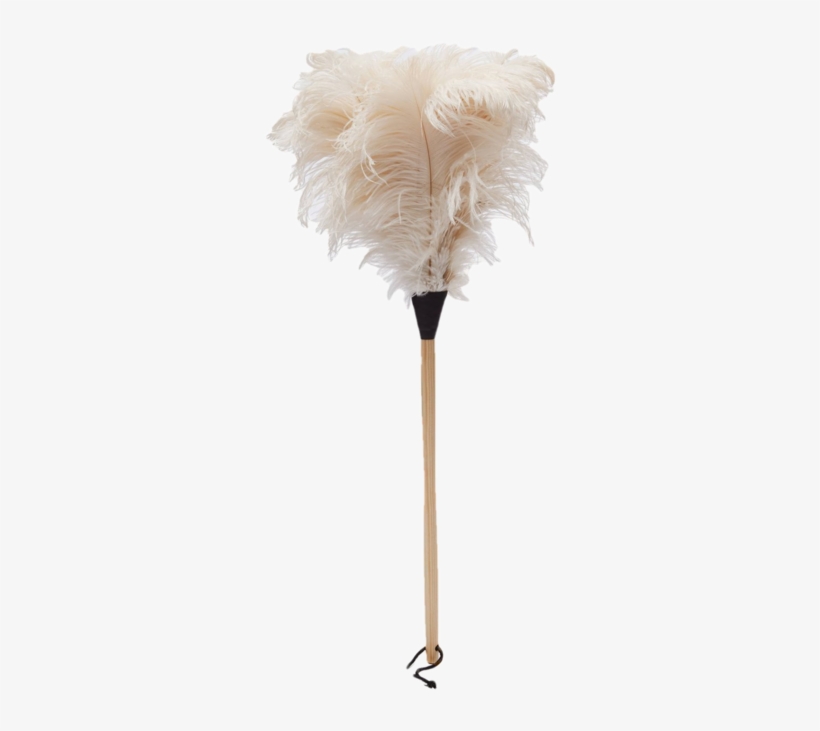 The Classic Clean - Cut Flowers, transparent png #7610411