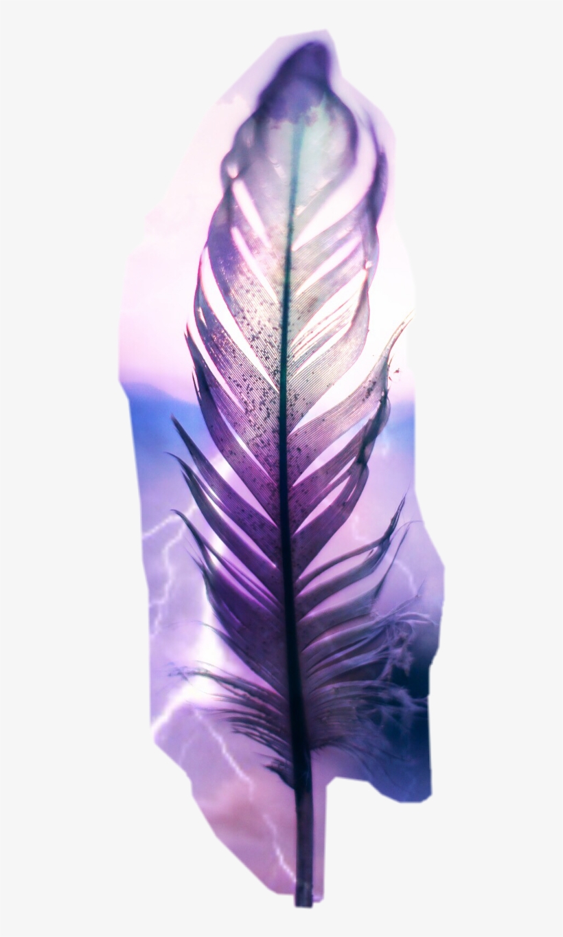 Wallpaper, transparent png #7611049