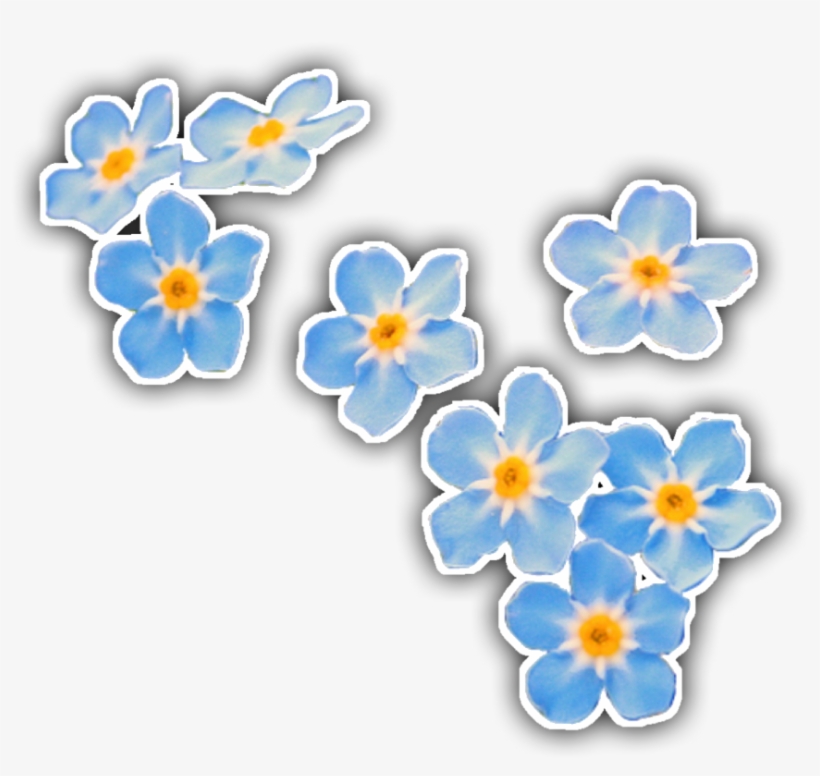 Forgetmenot Sticker, transparent png #7611523