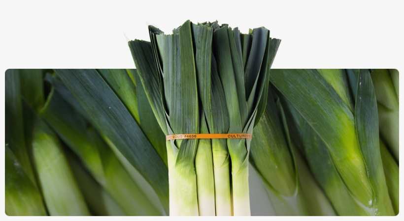 Whole Leeks - Leek, transparent png #7611563