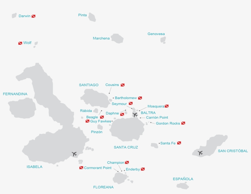 Get To Know The Galapagos Marine Life From Another - Galapagos Map, transparent png #7611890