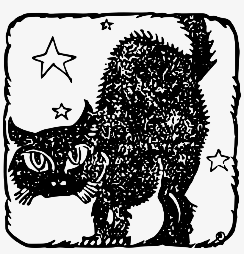 Cat Black Stars - Cat, transparent png #7613705