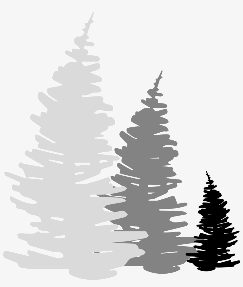 Logo-trees - Christmas Tree, transparent png #7614347