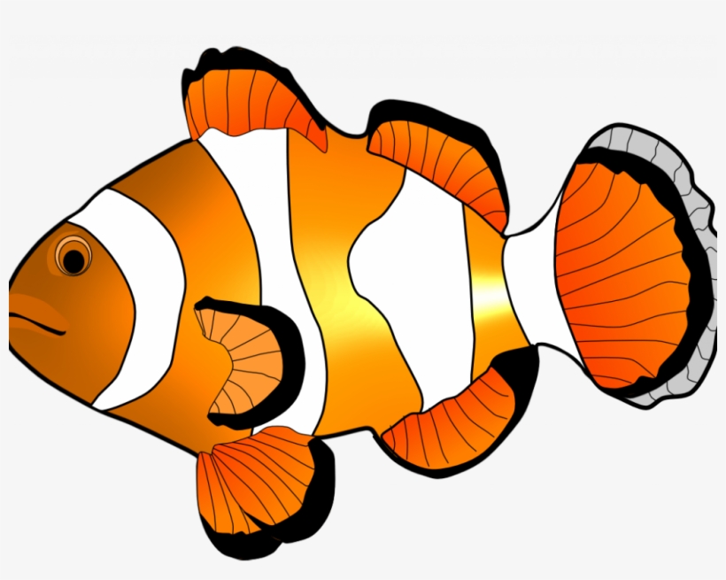 Peaceful Design Ideas Clip Art Fish Clipart Free - Clownfish Clipart Black And White, transparent png #7617112