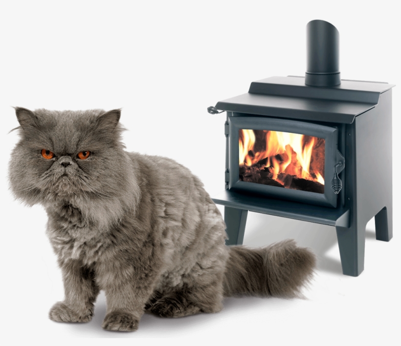 And Good Burning Technique Is Key You'll Be Warmer, - Cat, transparent png #7617268