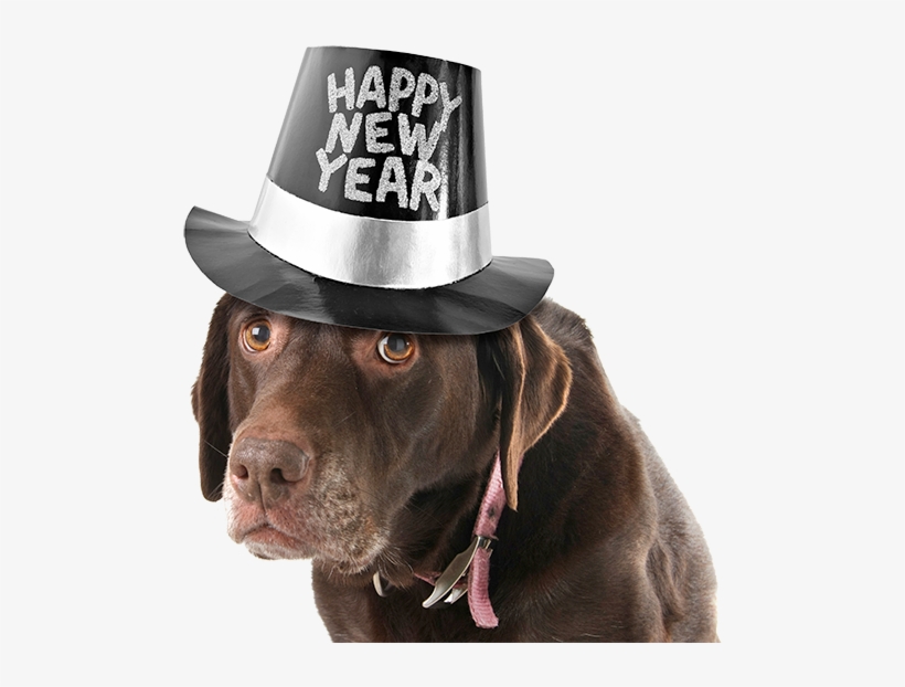 The Holidays Are Winding Down And The New Year Is Just - New Year Baby, transparent png #7617435