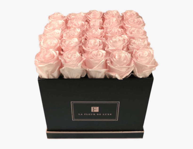 Garden Roses, transparent png #7617640