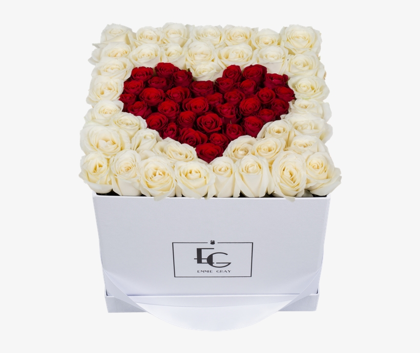 Garden Roses, transparent png #7618212