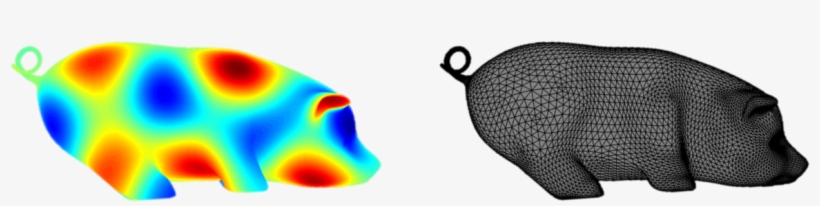 An Eigenfunction Of The Laplacian On A Pig-shaped Surface - Macro Photography, transparent png #7618534