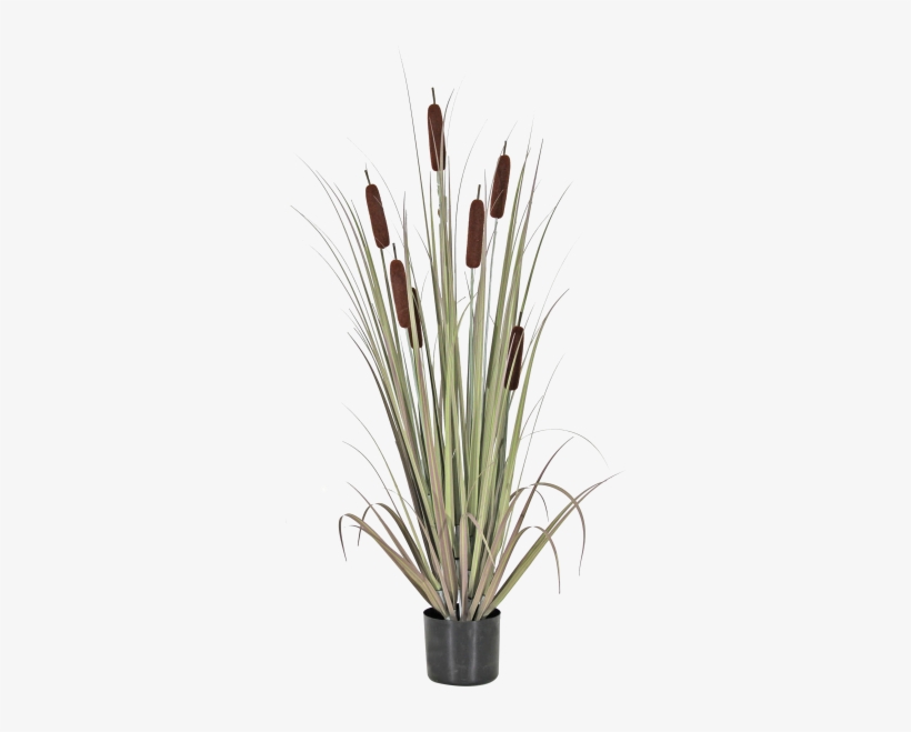 Vase, transparent png #7620941