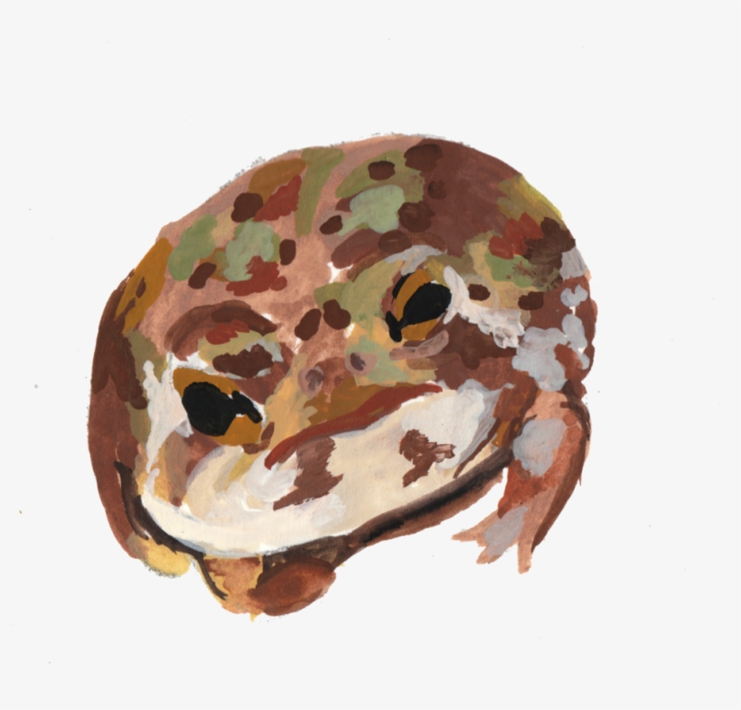 Frogs6 - Palette, transparent png #7622160