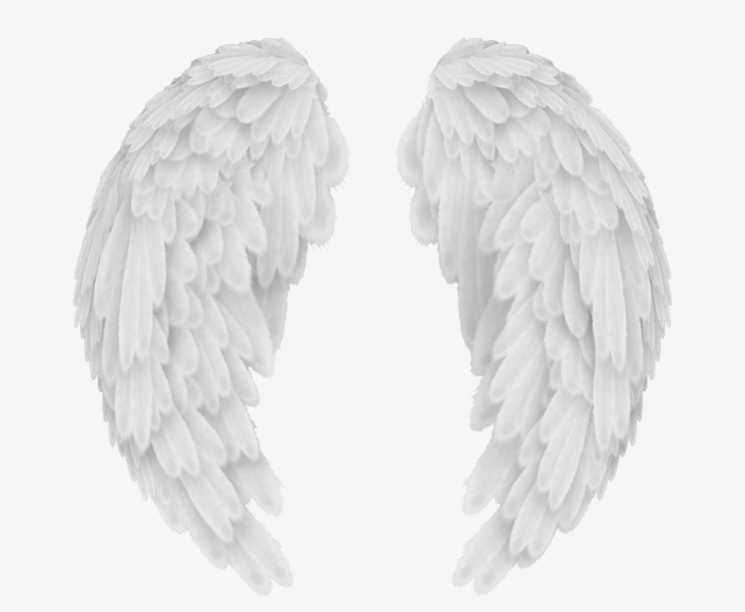 Angels In America Wings - Baby Angel Wings Png, transparent png #7622503