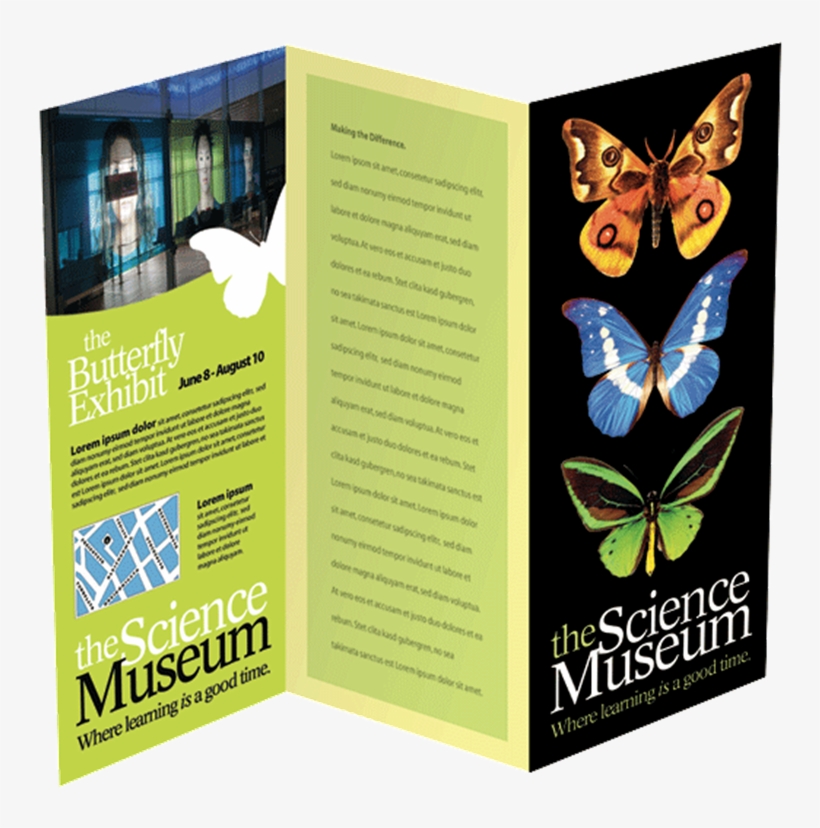Brochures - Lycaenid, transparent png #7623260