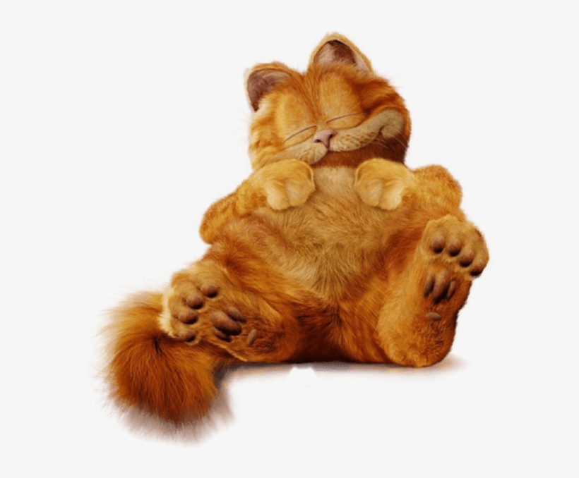 Free Png Download Cute Garfield Ture Clipart Png Photo - Garfield The Movie Png, transparent png #7623640
