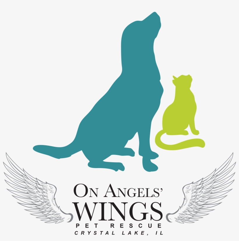 Print - Angels Wings Crystal Lake, transparent png #7623836
