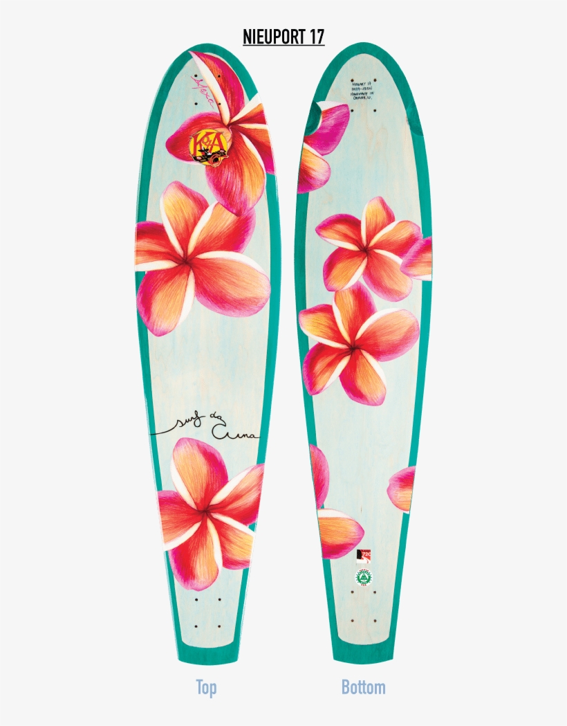 Kota Longboards - Anthurium, transparent png #7624153