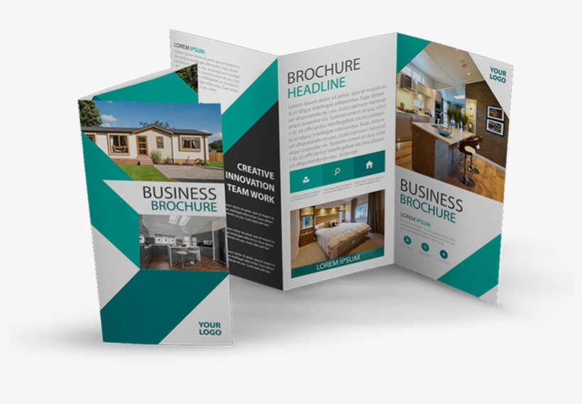 Brochures Parkevolutionua 2017 06 22t18 - Brochure, transparent png #7624157