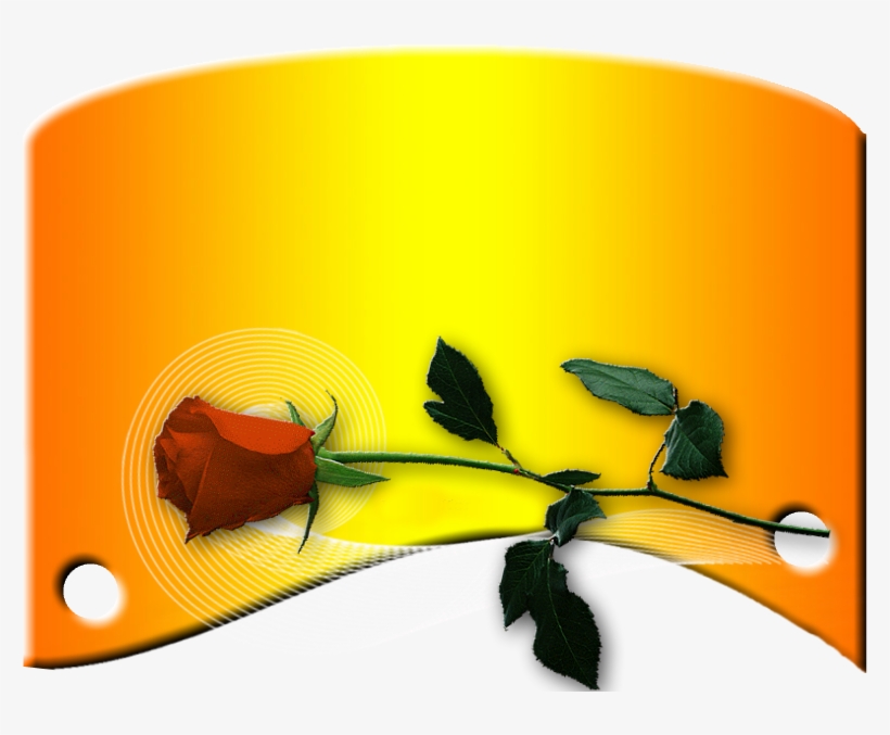 Pergaminho - Illustration, transparent png #7624568