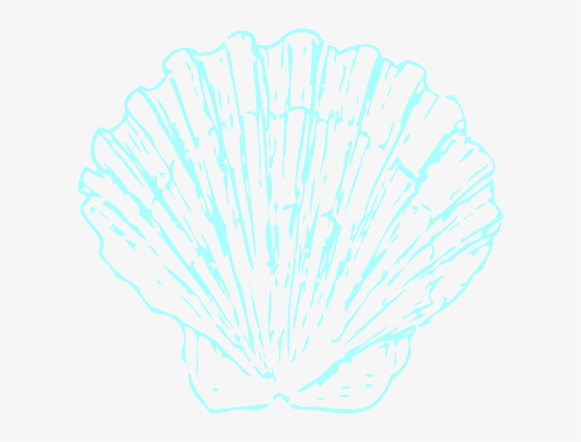 Robin S Egg Color Shell Svg Clip Arts 600 X 544 Px, transparent png #7625376