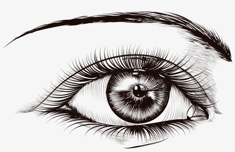 Lash Extension Products Semi Lashes Real Lash Extensions - 睫毛 卡通, transparent png #7625666