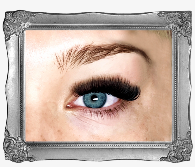 Lash Daddy Frame - Eyelash Extensions, transparent png #7625730